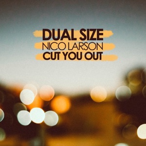 Cut You Out (feat. Nico Larson) - Single