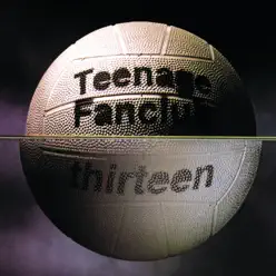 Thirteen - Teenage Fanclub