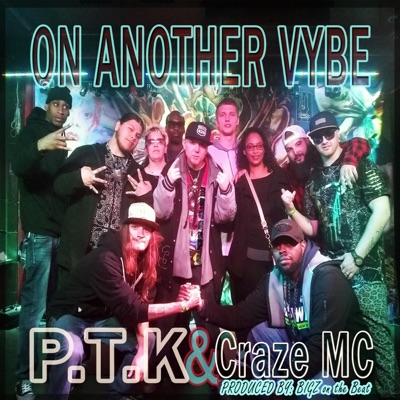 On Another Vybe (feat. Craze Mc) - Single