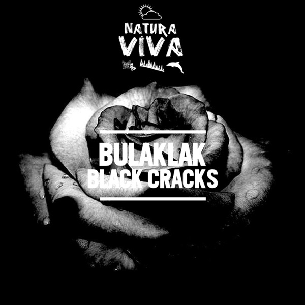Black Cracks - Single