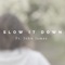 Slow It Down (feat. John James) - Rugged and Wylde lyrics