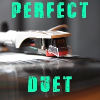 Perfect Duet (Originally Performed by Ed Sheeran & Beyonce) [Instrumental] - Single - Vox Freaks