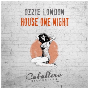 House One Night - Single