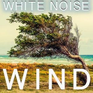 White Noise Wind - EP
