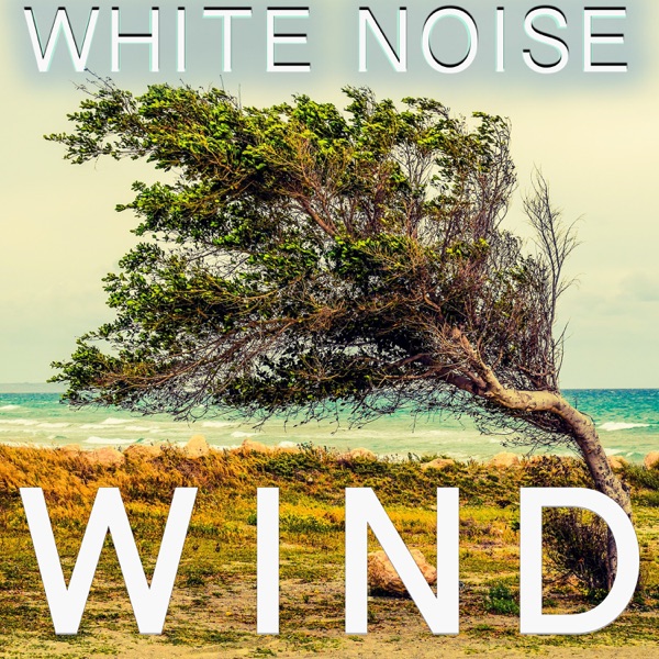 White Noise Wind - EP