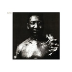 Muddy Waters - Rollin' and Tumblin'