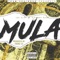 Mula (feat. Highway Rich) - Jus Clay lyrics