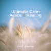 Stress Relief Calm Oasis - Anandra