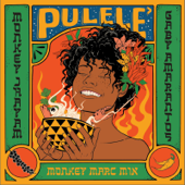 Pulelê (feat. Gaby Amarantos) [Monkey Marc Mix] - Monkey Jhayam