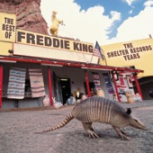 Freddie King - I'd Rather Be Blind