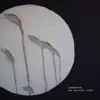 Labasheeda - Winter