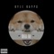 Shiba Inu - Kyle Rapps lyrics