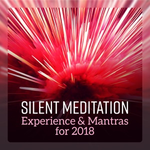 Silent Meditation Experience & Mantras for 2018 - Doorway to Peace, Path Toward Reflection, Year of Serene Yoga, Journey for Spiritual Progress
