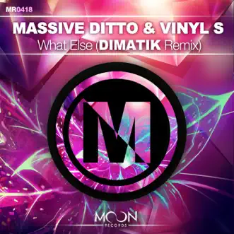 What Else (Dimatik Remix) - Single by Massive Ditto & Vinyl S album reviews, ratings, credits