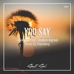 Jako Diaz - You Say (Slipenberg Remix)