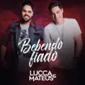 Bebendo Fiado