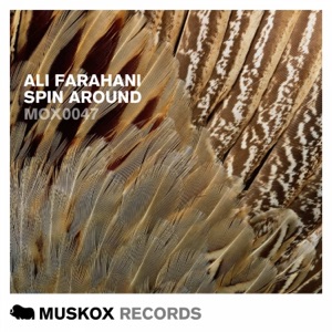 Spin Around - Single