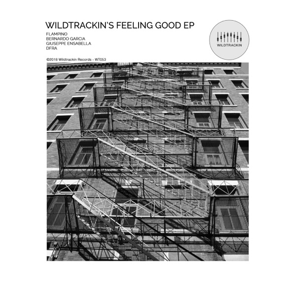 Wildtrackin's Feeling Good - EP