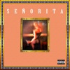 Señorita - Single