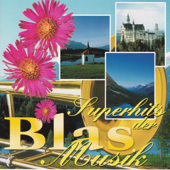 Superhits der Blasmusik - Various Artists