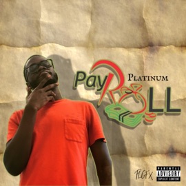 Payroll YL Platinum