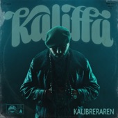 Kalibrera artwork