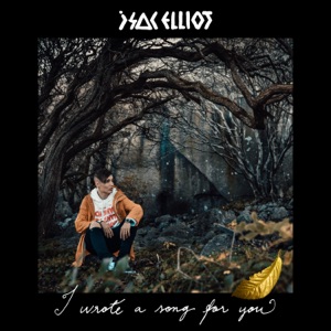 I Wrote a Song for You - Single