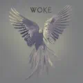 In the Age to Come (Rob Dust Endemix)