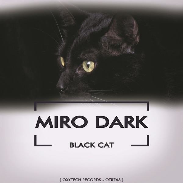 Black Cat - Single