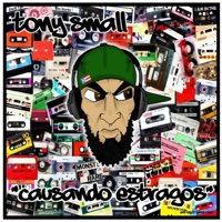 Causando Estragos - Single - Tony Small
