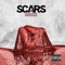 Animal Machine - Scars lyrics