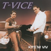 Kite'm Viv artwork