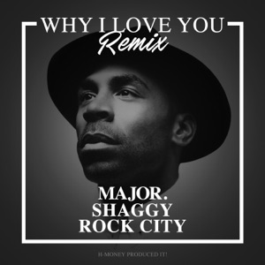 Why I Love You (Remix) [feat. Shaggy & Rock City] - Single