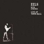 Eels - Railroad Man (Live)