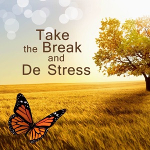 Take the Break and De Stress: Music to Release from Trouble with Sleep, Stress & Anxiety, Posttraumatic Stress Disorder, Dementia