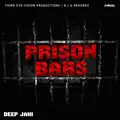 Prison Bars