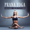 Prana Yoga: Chakra Meditation, Zen Time, Relaxation Music, Massage Therapy, Mental Health, Reiki, Body Balance