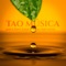 Toque de Cura - Meditação Música Ambiente lyrics