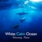 Endless Sounds of Deep Ocean - Healing Ocean Waves Zone lyrics