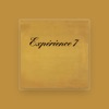 Experience 7