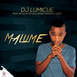 Malume (feat. Bongi Khumalo, Diggy Mayers & Lucci) Dj Lumicue