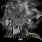 Stripes (feat. Fetty P Franklin) - Donkey Cartel lyrics