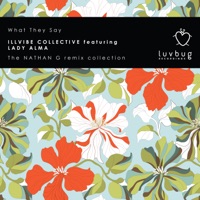 What They Say (feat. Lady Alma) [Nathan G Remix Collection] - Illvibe Collective