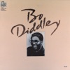 Bo Diddley - I am a man