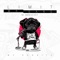 Limit (We Rabbitz Edit) - We Rabbitz & WR GANG lyrics