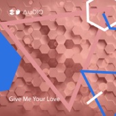 Give Me Your Love artwork