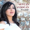 Sevcan Aydoğan - Taşa Çaldım Ayvam İle Narımı