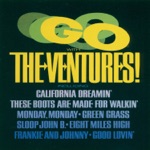 The Ventures - Good Lovin'