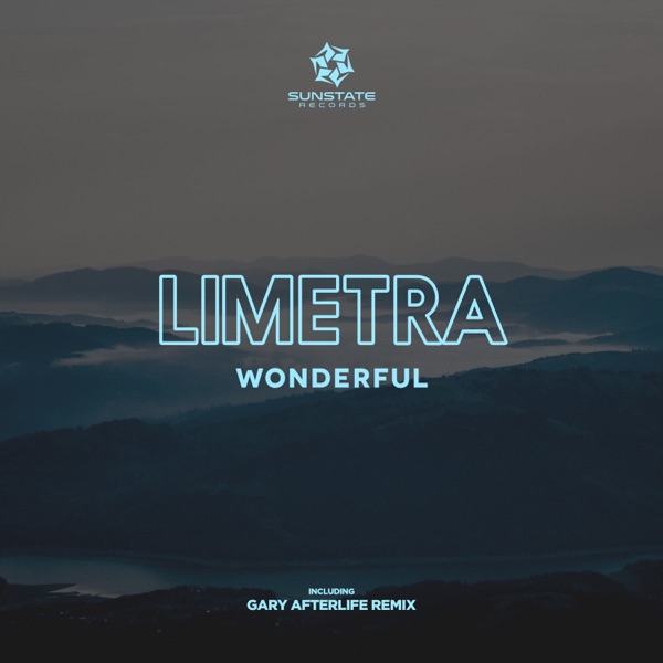 Wonderful - Single