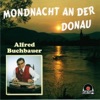 Alfred Buchbauer - Wien Wird Bei Nacht Erst Schön